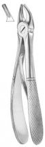  KLEIN (Fig. 218) upper premolars 